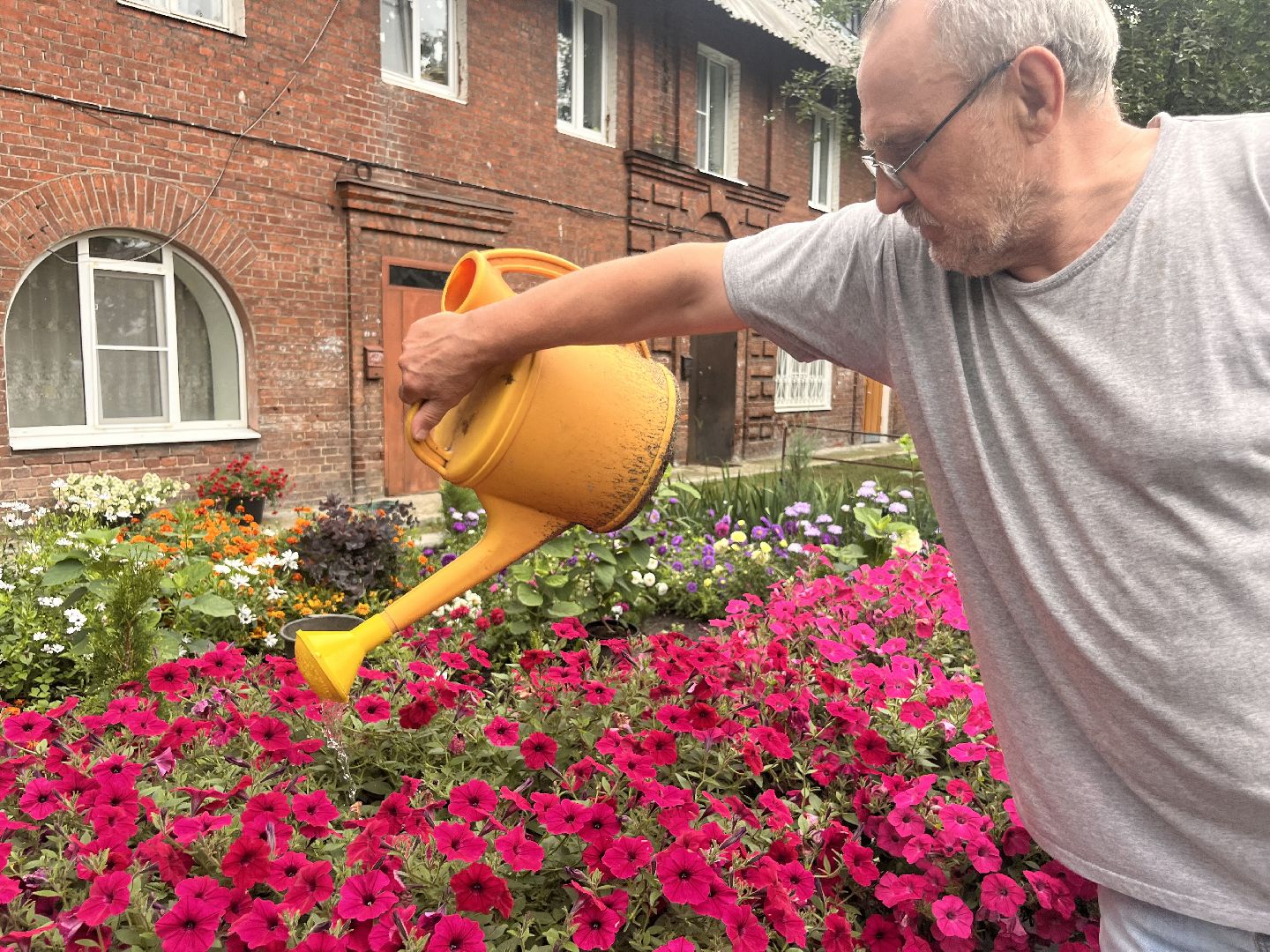 шатура, Цветы,