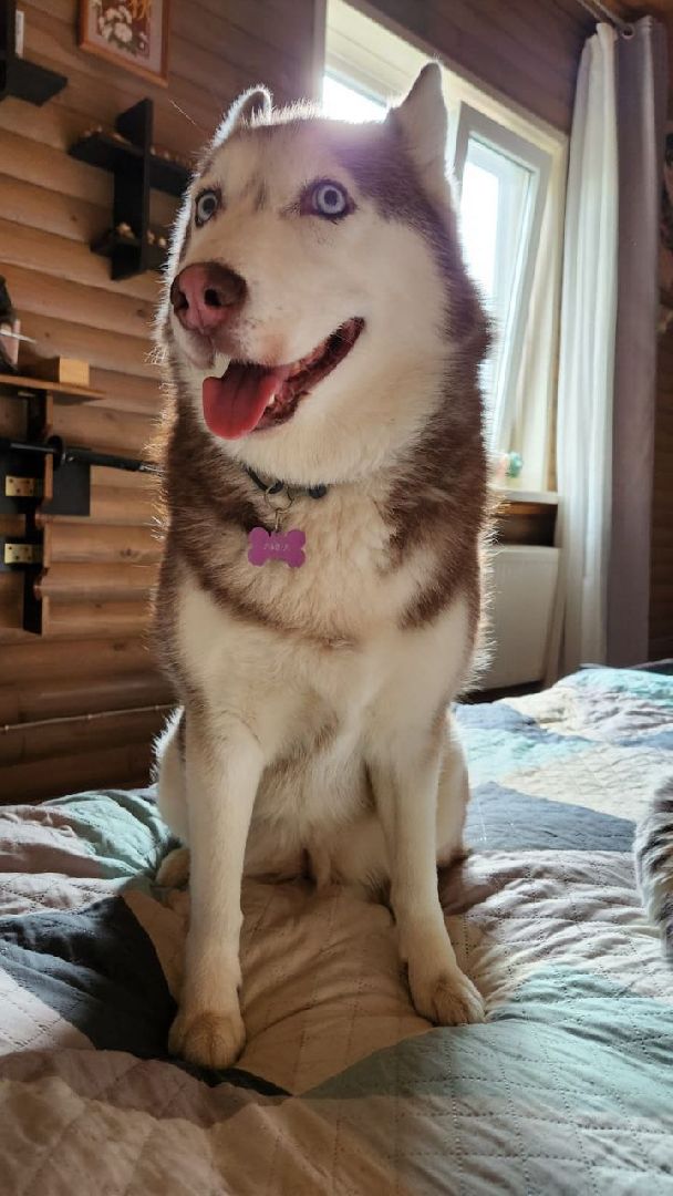 истра, помощь пострадавшим,