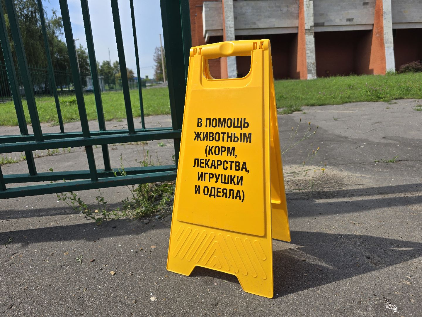 Коломна, помощь бездомным животным, волонтеры подмосковья,