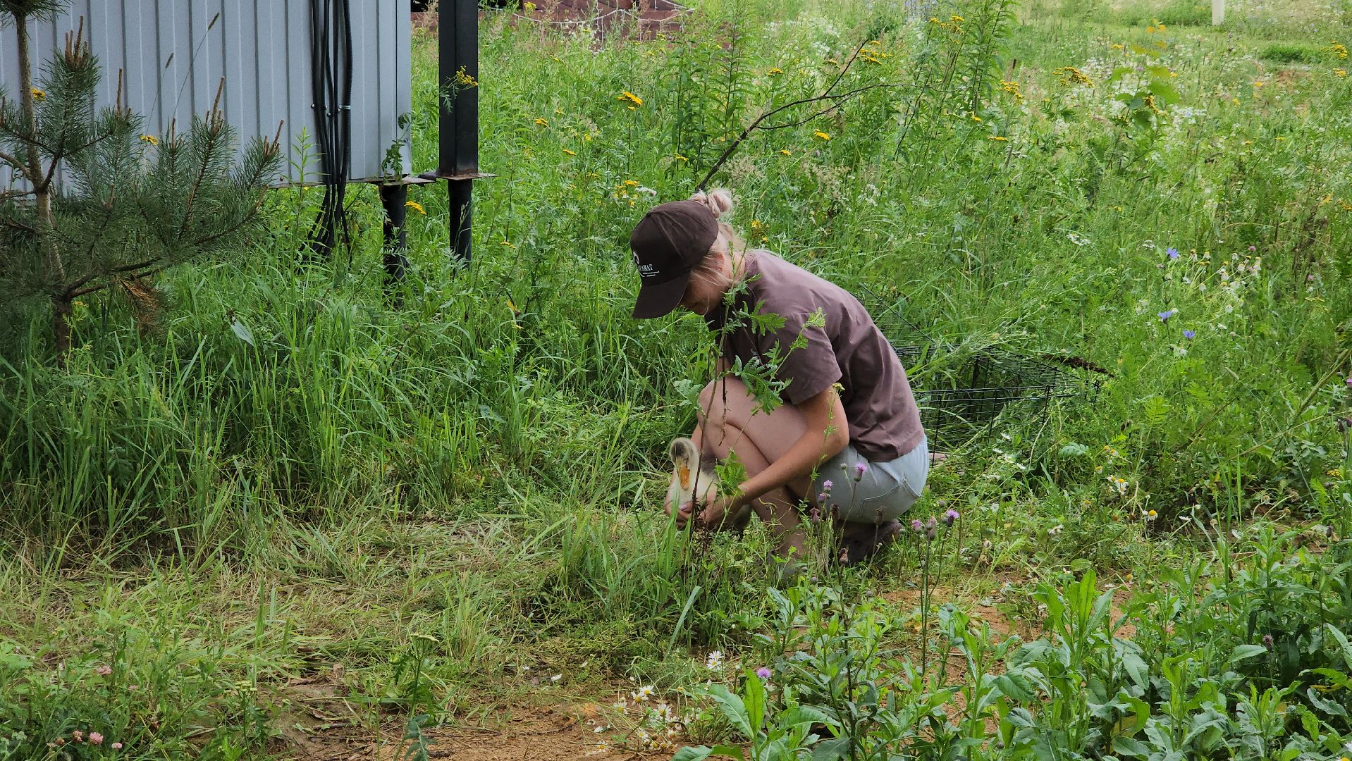 ступино, экопарк, туризм, лето в подмосковье,