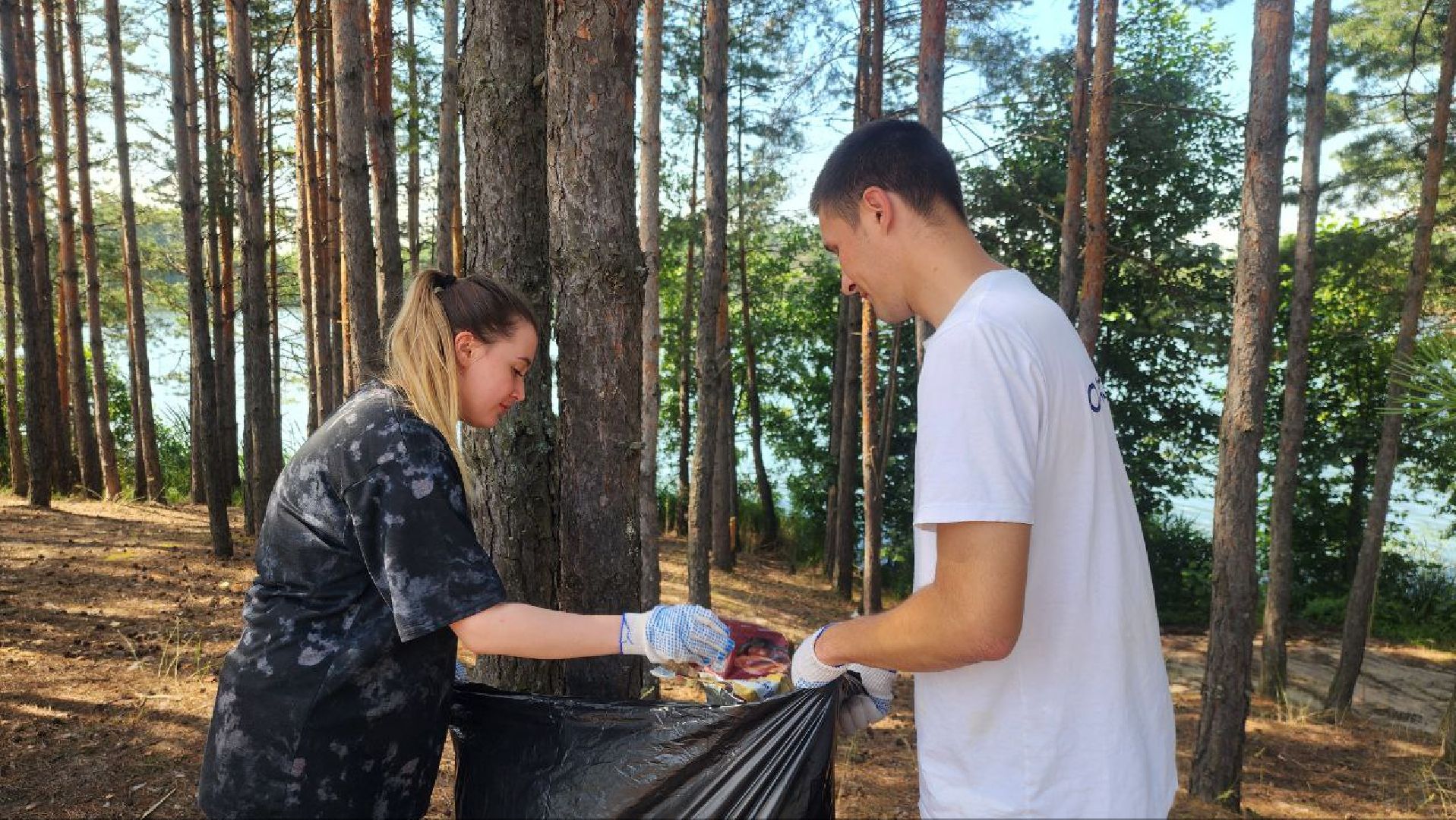 луховицы, экология,