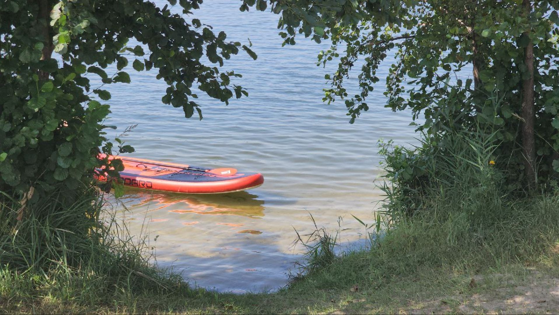 луховицы, экология,