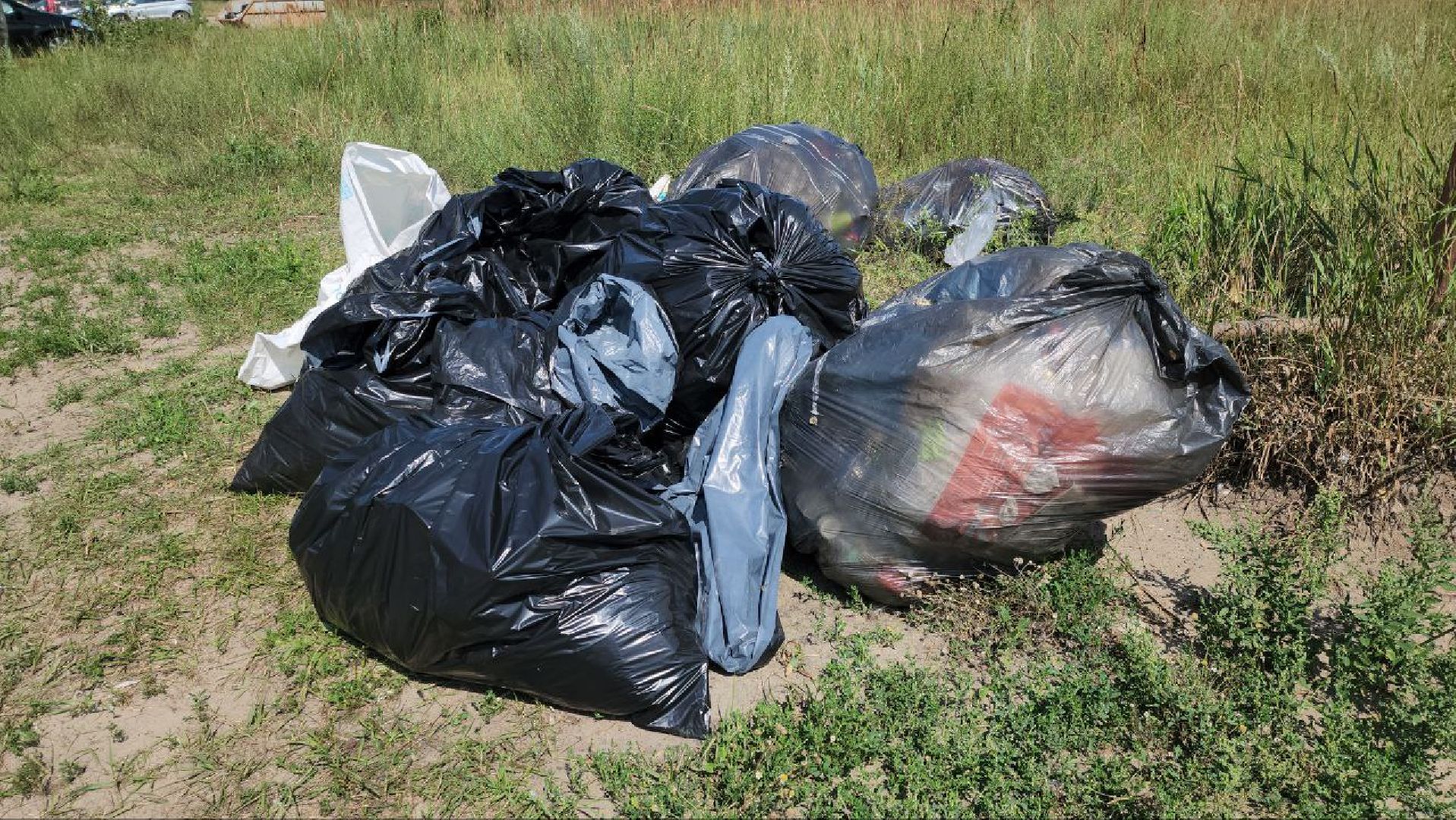 луховицы, экология,