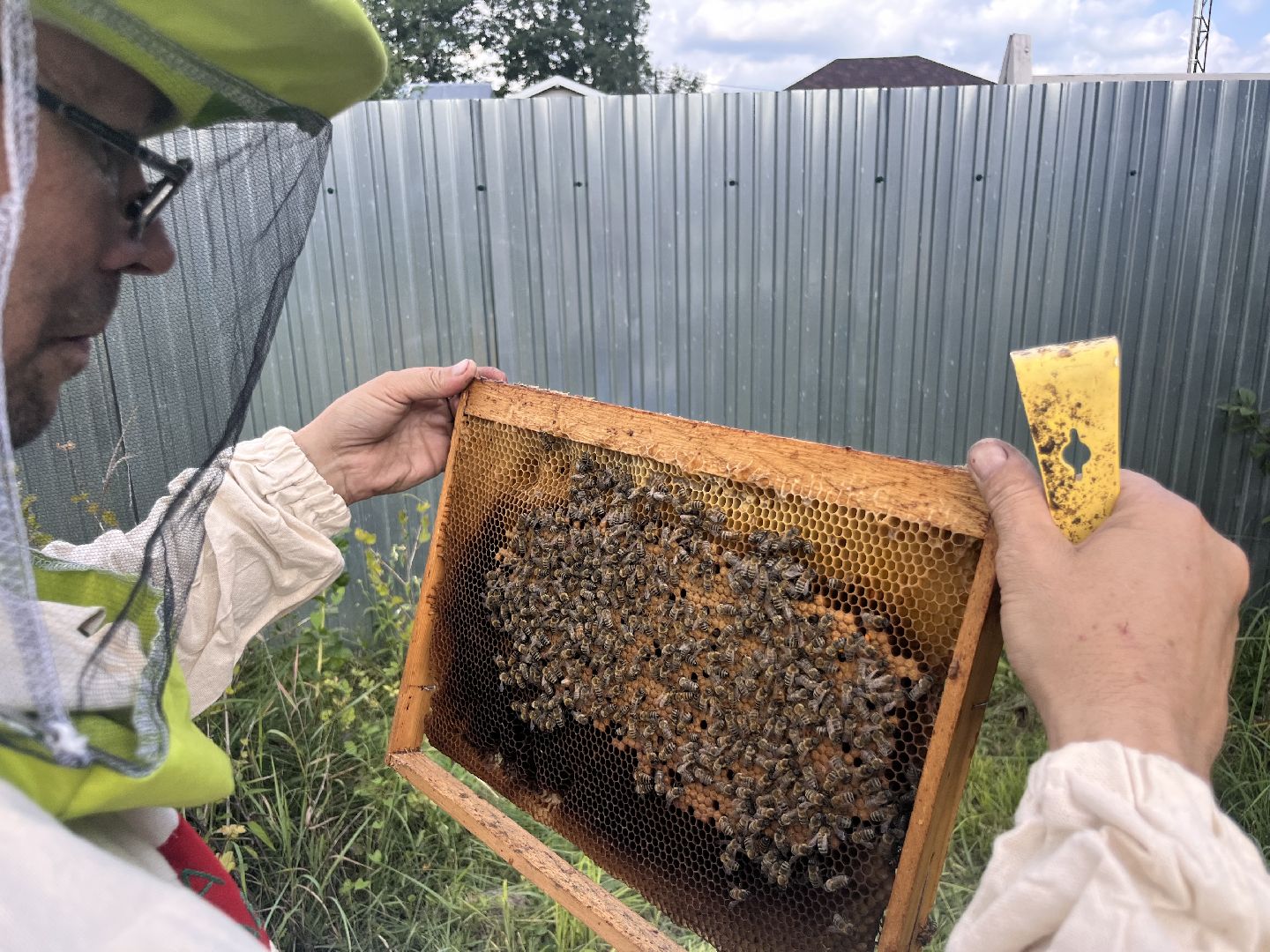 шатура, Шатура 2025, медосбор, Новости Шатуры , Шатура в лицах,