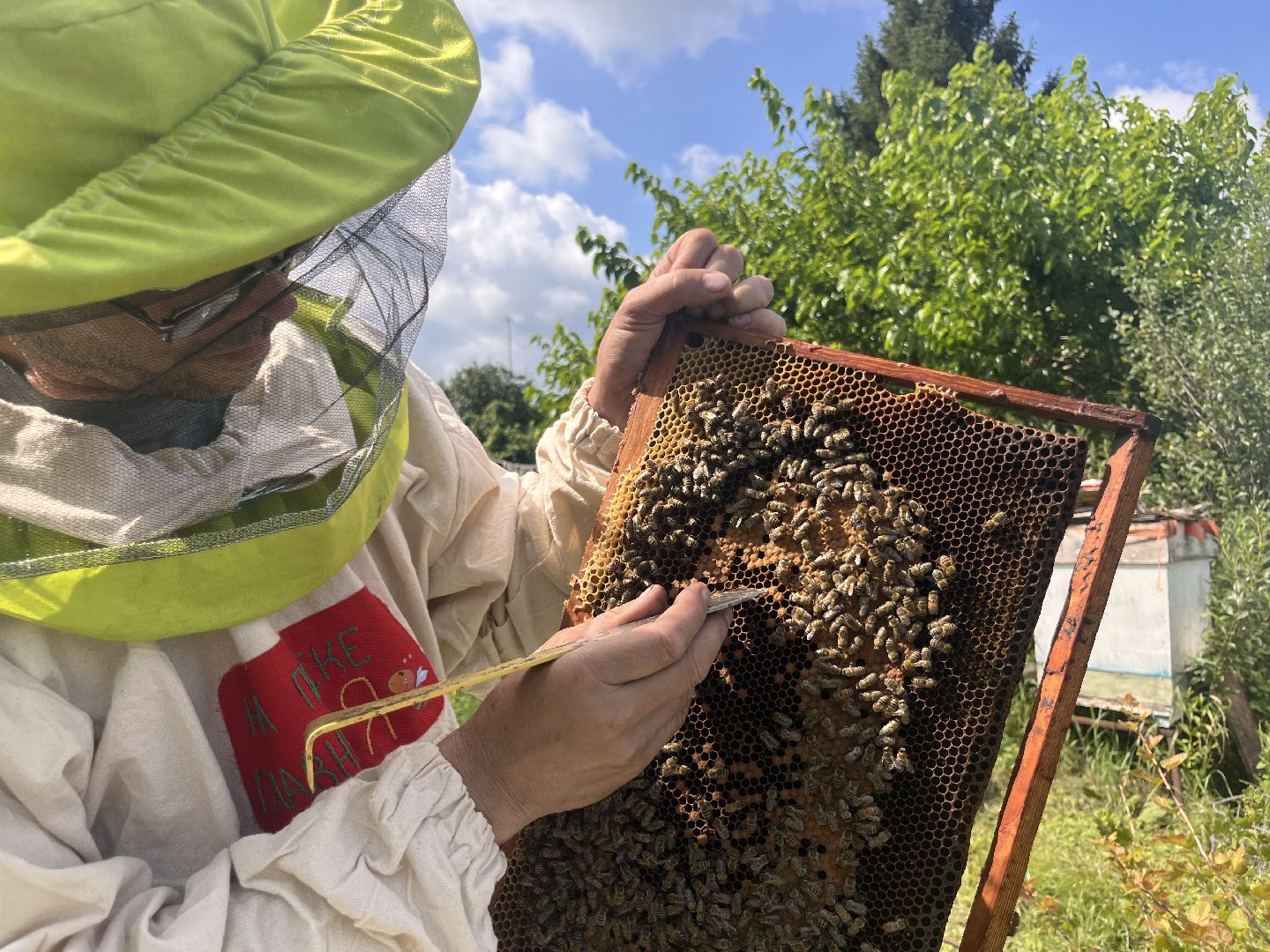 шатура, Шатура 2025, медосбор, Новости Шатуры , Шатура в лицах,