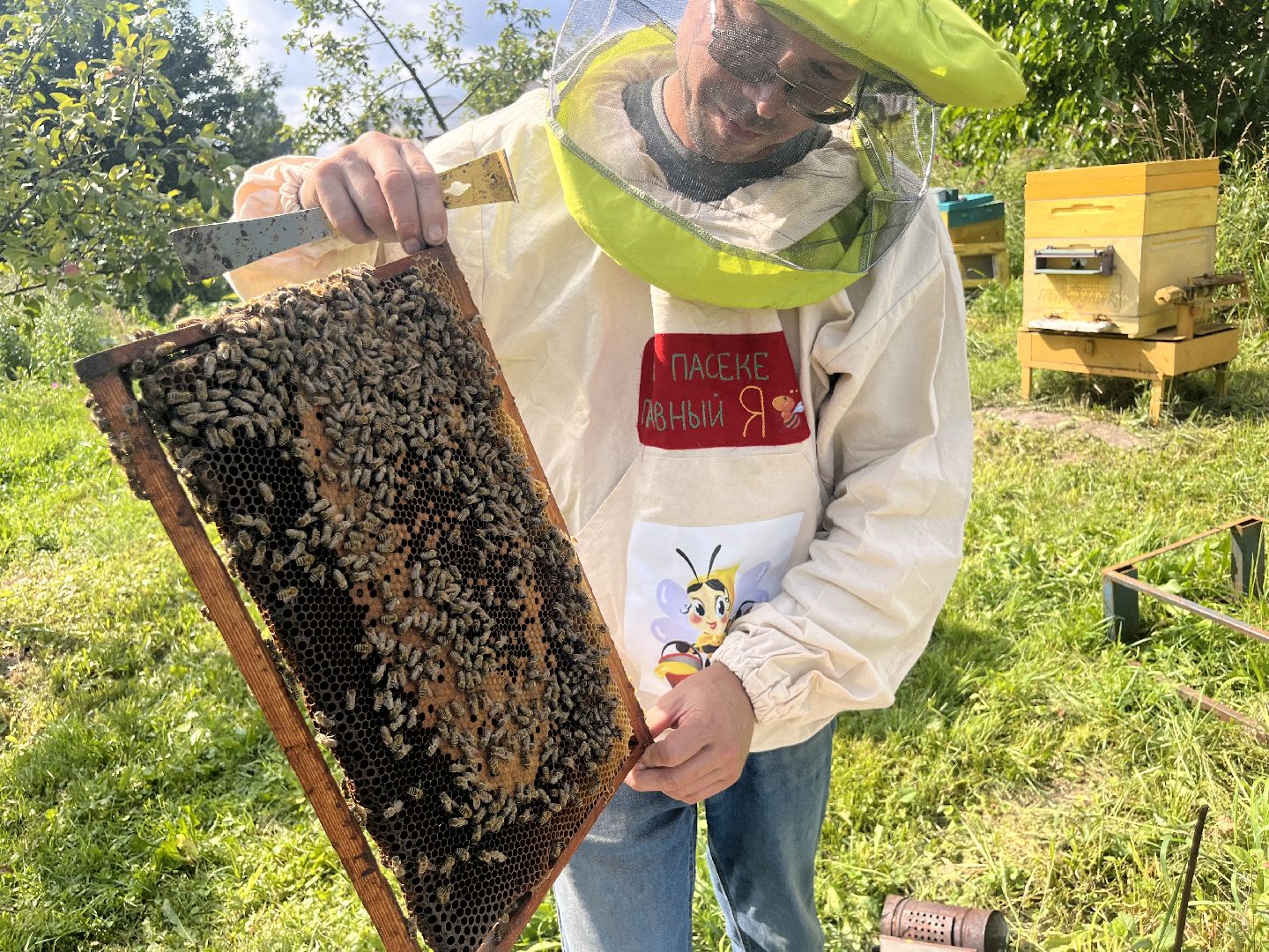 шатура, Шатура 2025, медосбор, Новости Шатуры , Шатура в лицах,