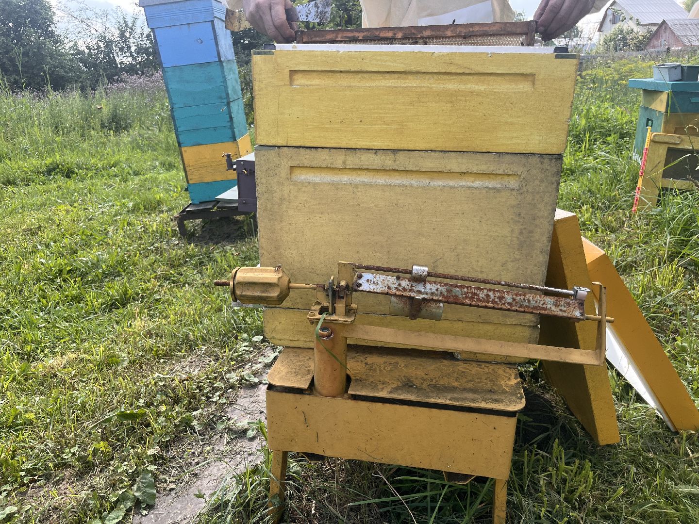 шатура, Шатура 2025, медосбор, Новости Шатуры , Шатура в лицах,