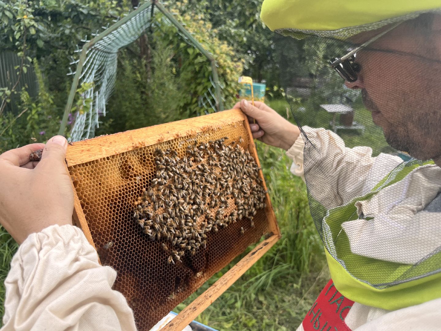 шатура, Шатура 2025, медосбор, Новости Шатуры , Шатура в лицах,