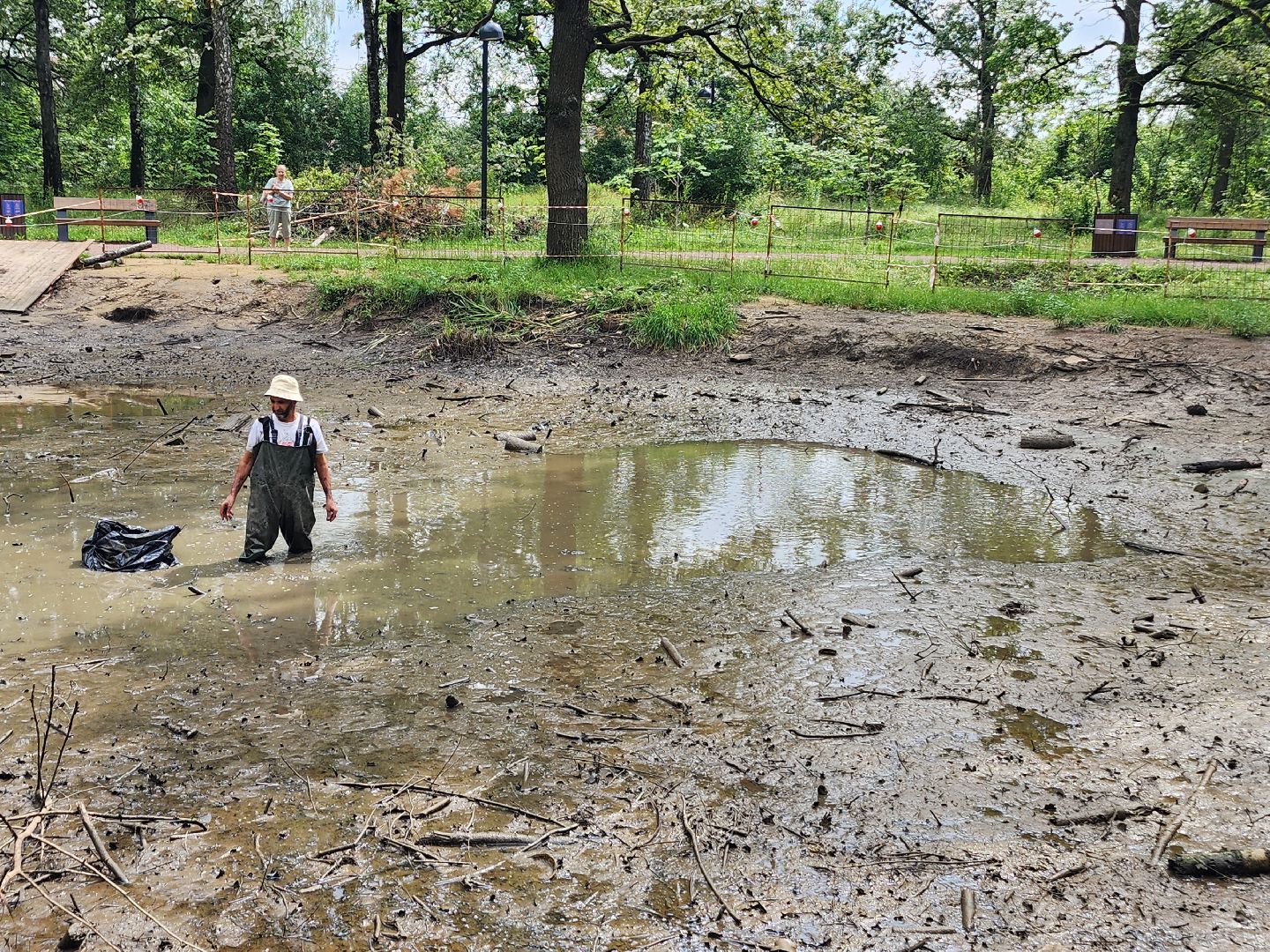 фрязино, опил деревьев, очистка пруда, лесопарк,