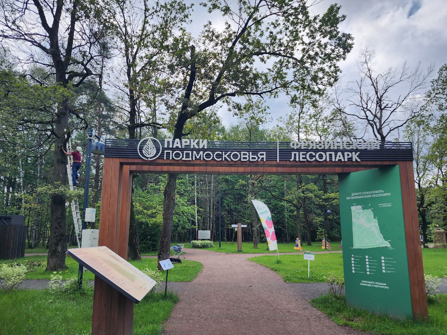 фрязино, опил деревьев, очистка пруда, лесопарк,