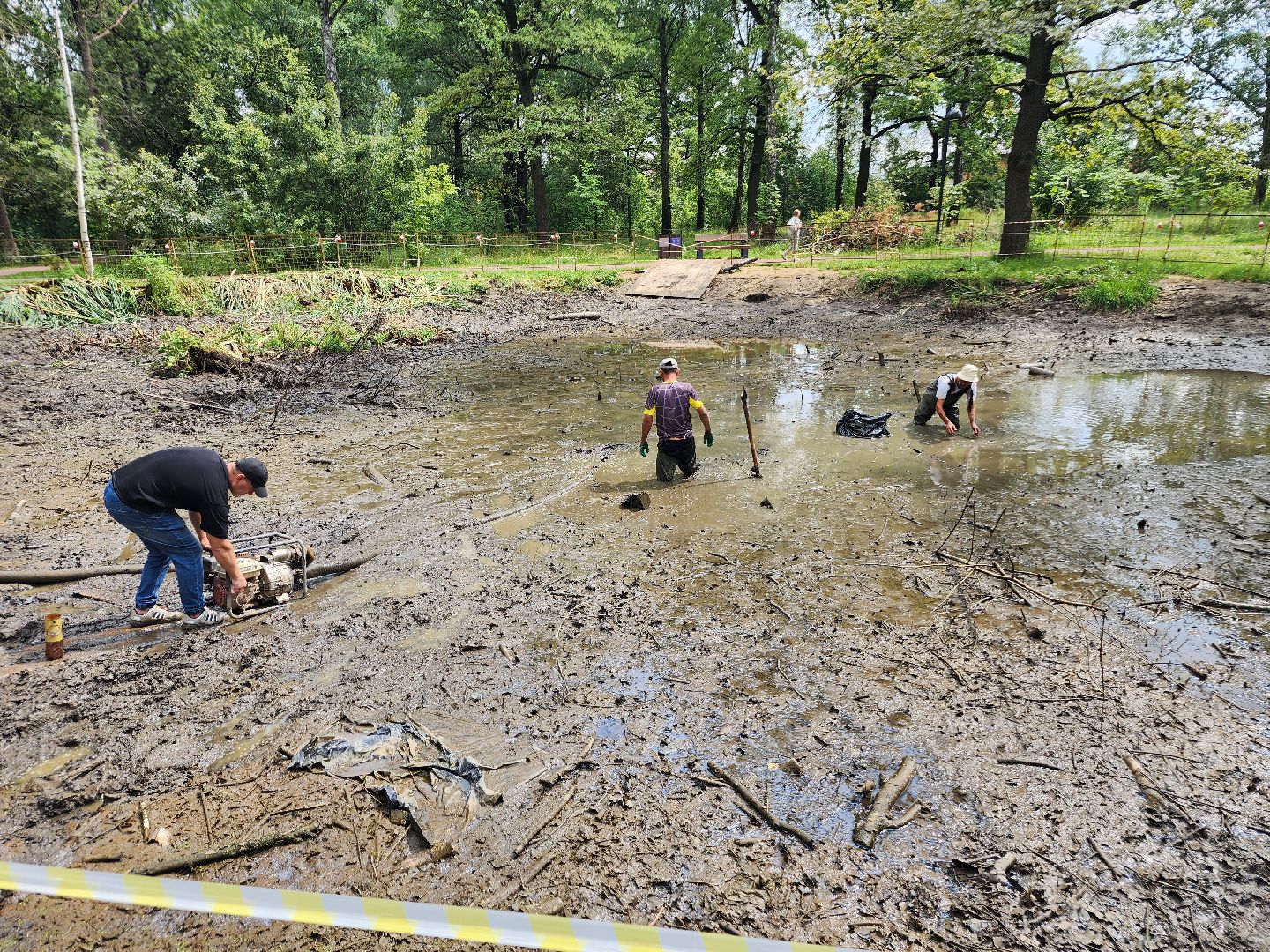 фрязино, опил деревьев, очистка пруда, лесопарк,