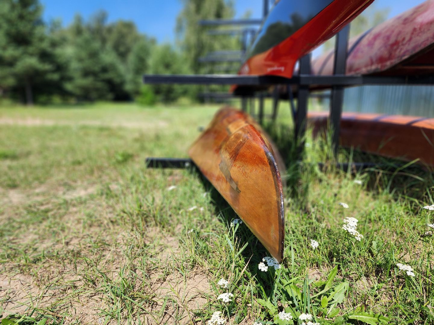чемпионат россии, чемпионат россии по гребле на каноэ и байдарках, гребля на каноэ и байдарках, старая купавна, богородский городской округ,