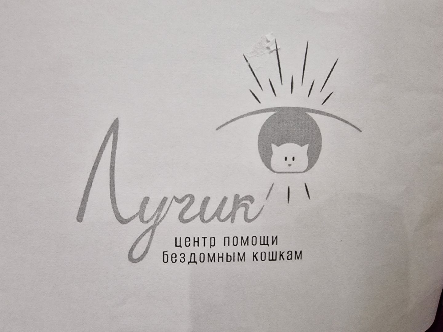 Дубна, Волонтерство, Помощьживотным,