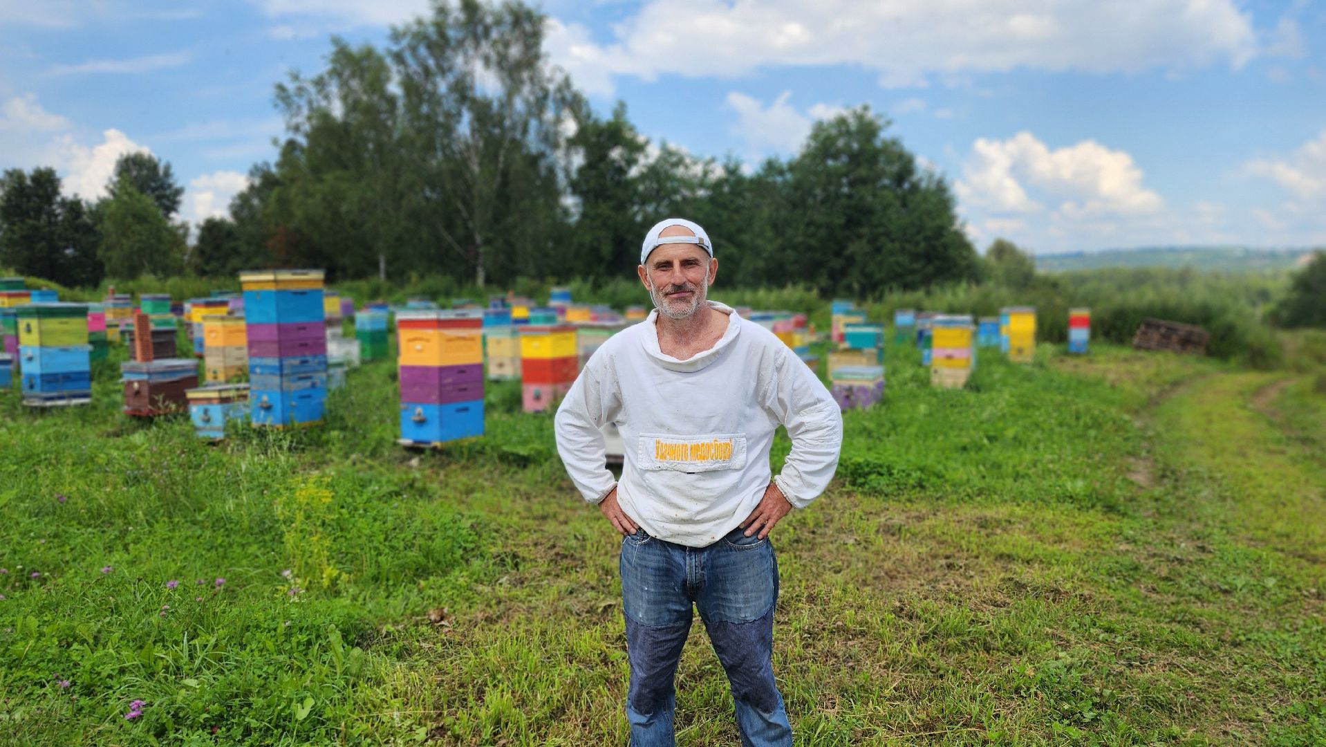 солнечногорск, деревня заовражье, пчелы, хьюман стори, пасека,