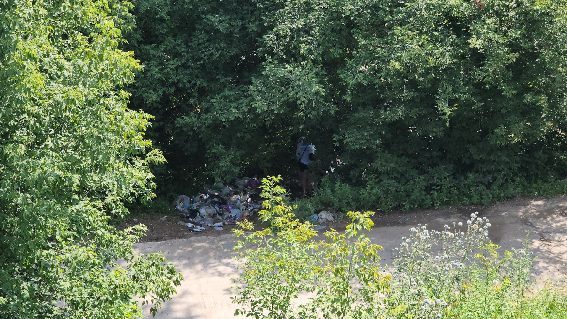 серпухов, подмосковье, центр по профориентации и трудоустройству молодеж, подростки на уборке, павленское озеро, экология,