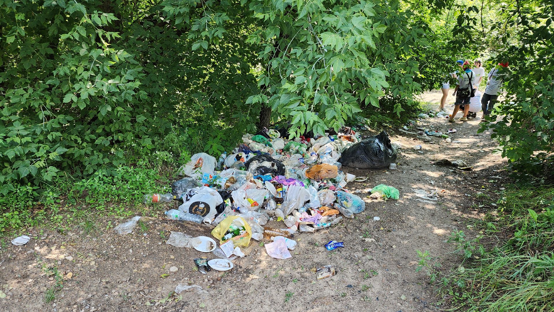 серпухов, подмосковье, центр по профориентации и трудоустройству молодеж, подростки на уборке, павленское озеро, экология,