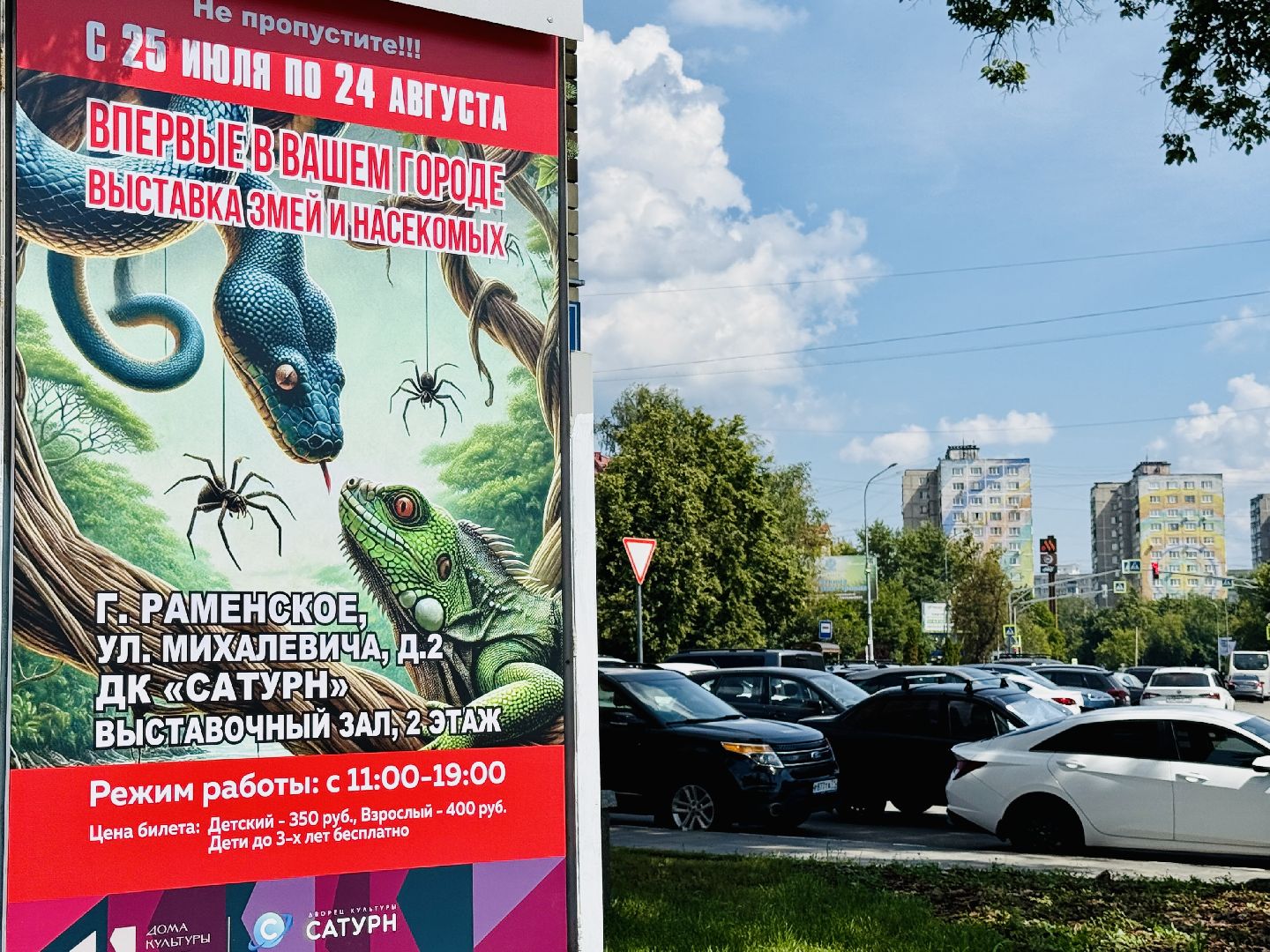 раменское, выставка пауков, куда поехать на выходные, туризм в раменском,