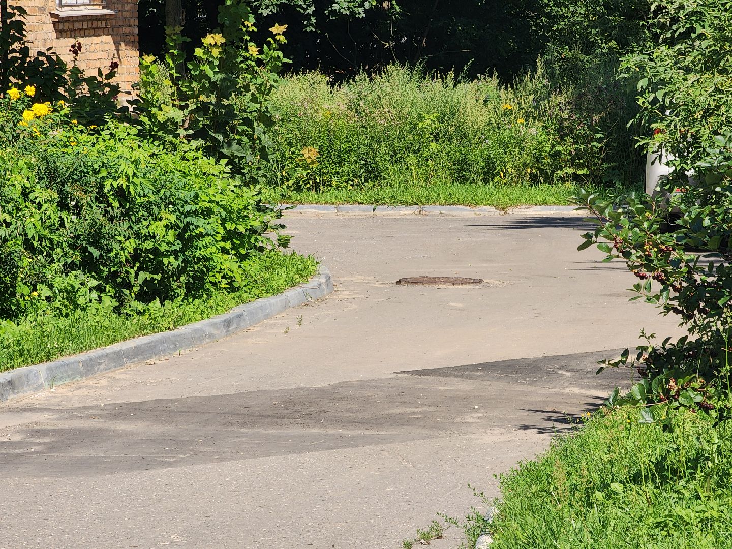 павловский посад, выездная администрация, власть,