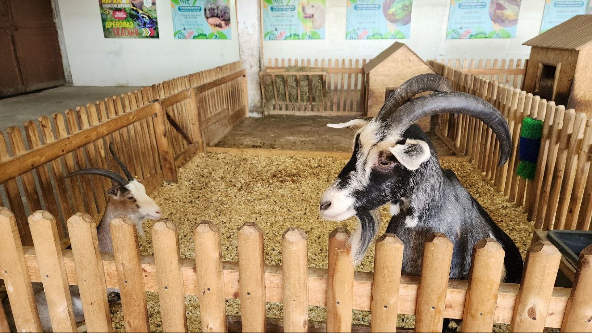 Дмитров, Зооферма Шихово, Туризм,