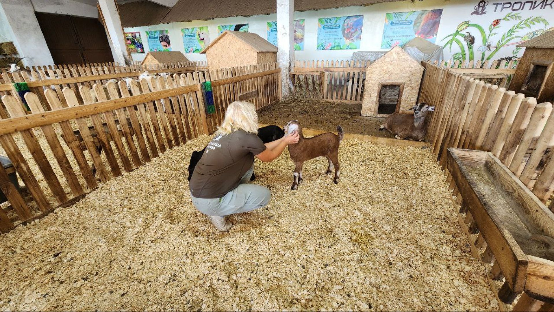 Дмитров, Зооферма Шихово, Туризм,