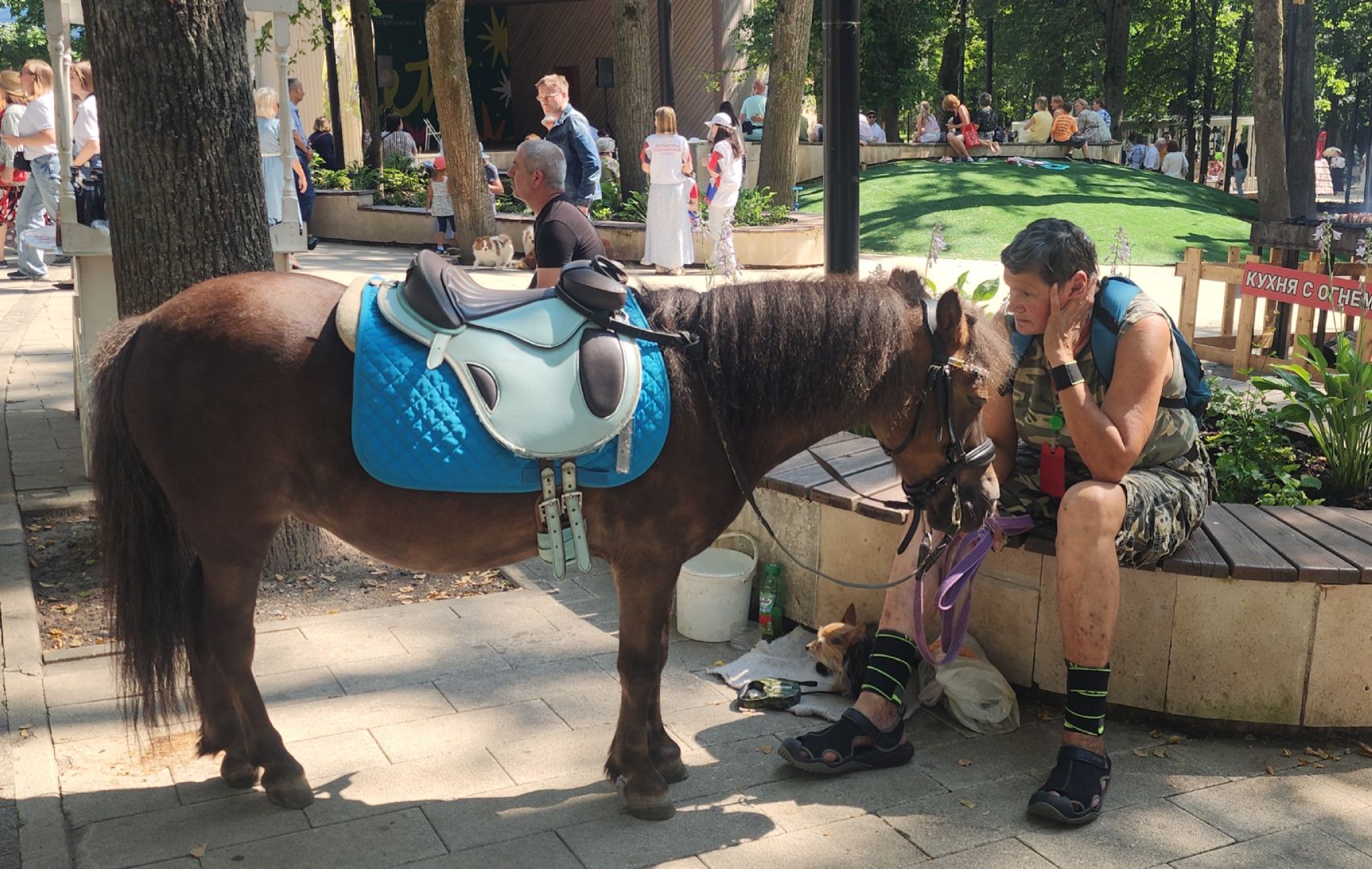 Звенигород, Туризм, Культура , Чехов и Звенигород,