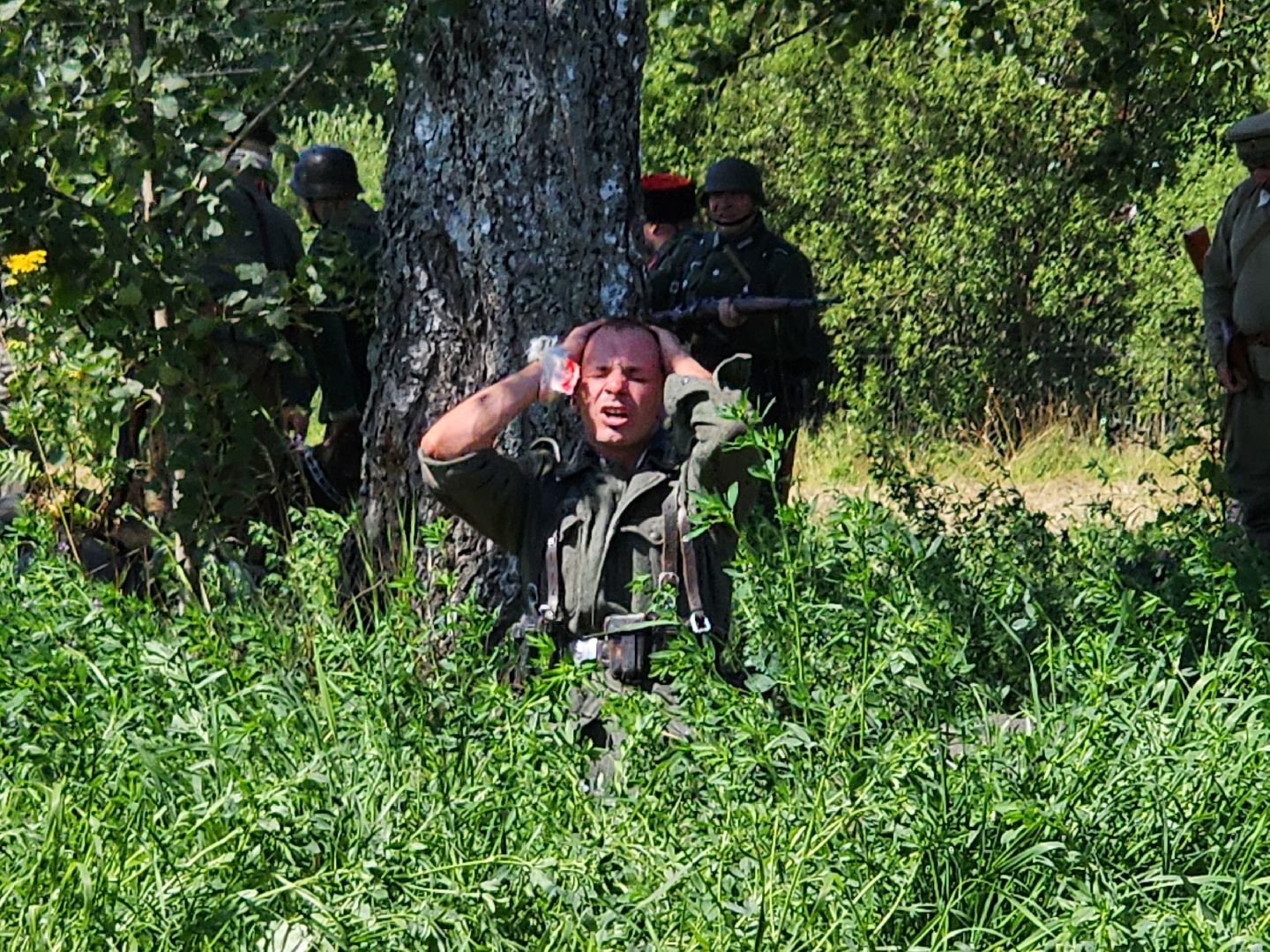 пушкинский городской округ, историческая реконструкция, История ,