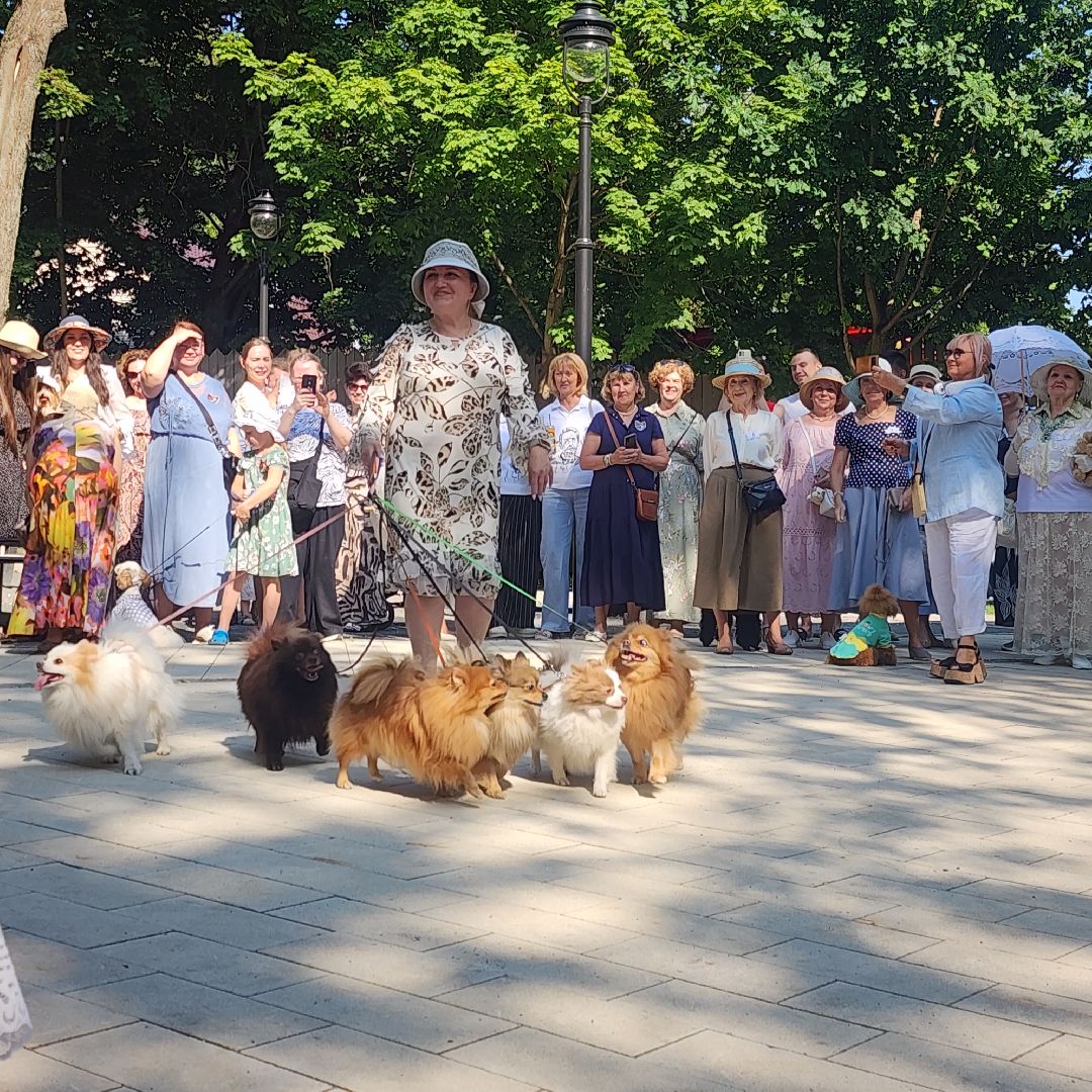 Туризм , Отдых , Культура , Люди Звенигорода , Общество ,