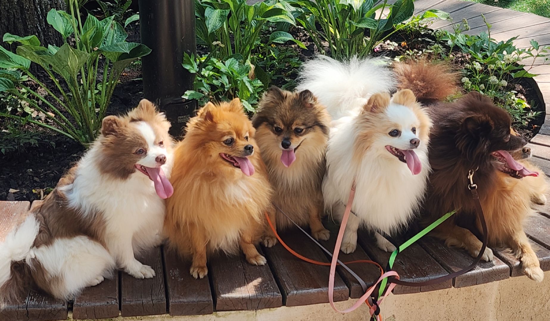 Туризм , Отдых , Культура , Люди Звенигорода , Общество ,