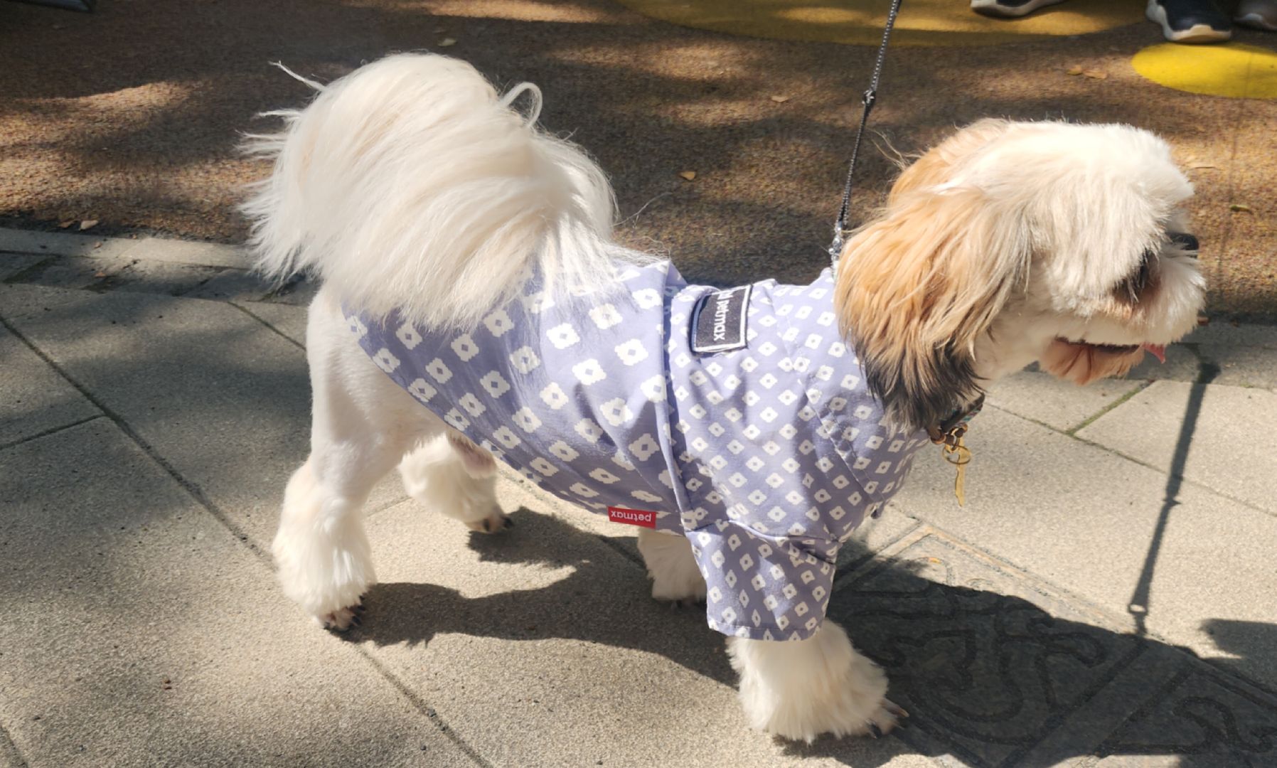 Туризм , Отдых , Культура , Люди Звенигорода , Общество ,