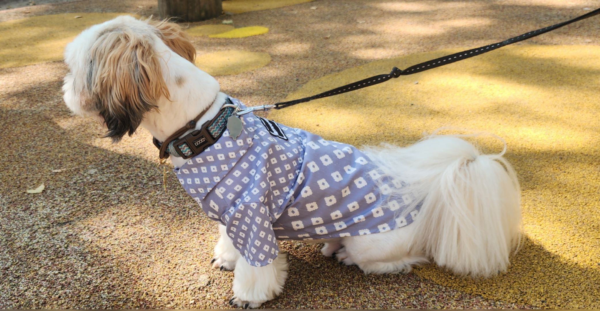 Туризм , Отдых , Культура , Люди Звенигорода , Общество ,