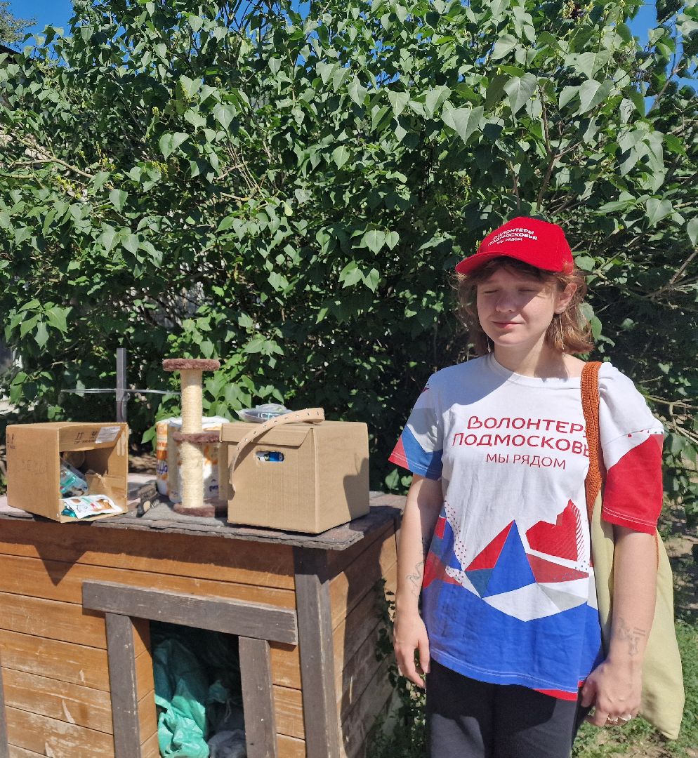 дубна, волонтеры, приют,