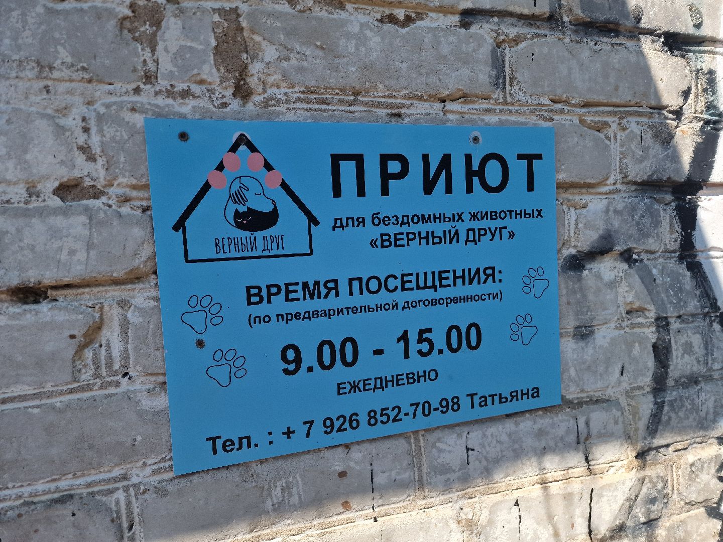 дубна, волонтеры, приют,