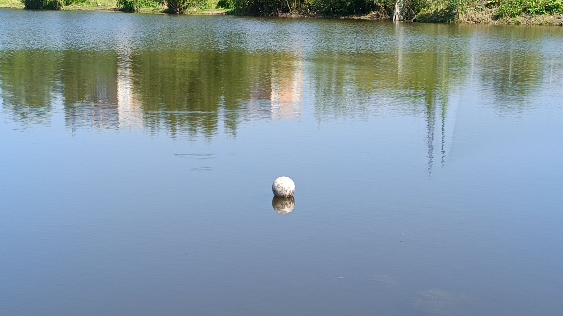 спорт, футбол, лобня,