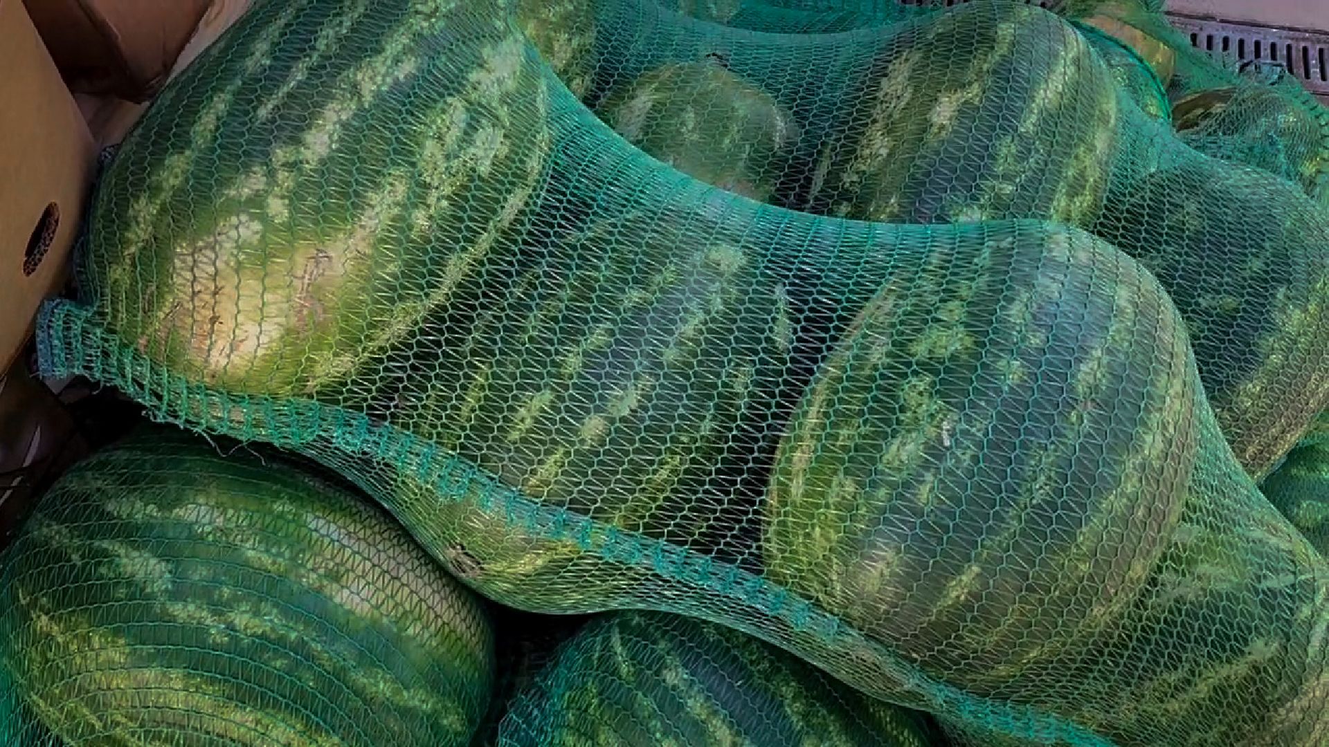 бронницы, Яяпродажа арбузов в бронницах, сезон бахчевых, сезон арбузов,сезон дынь,