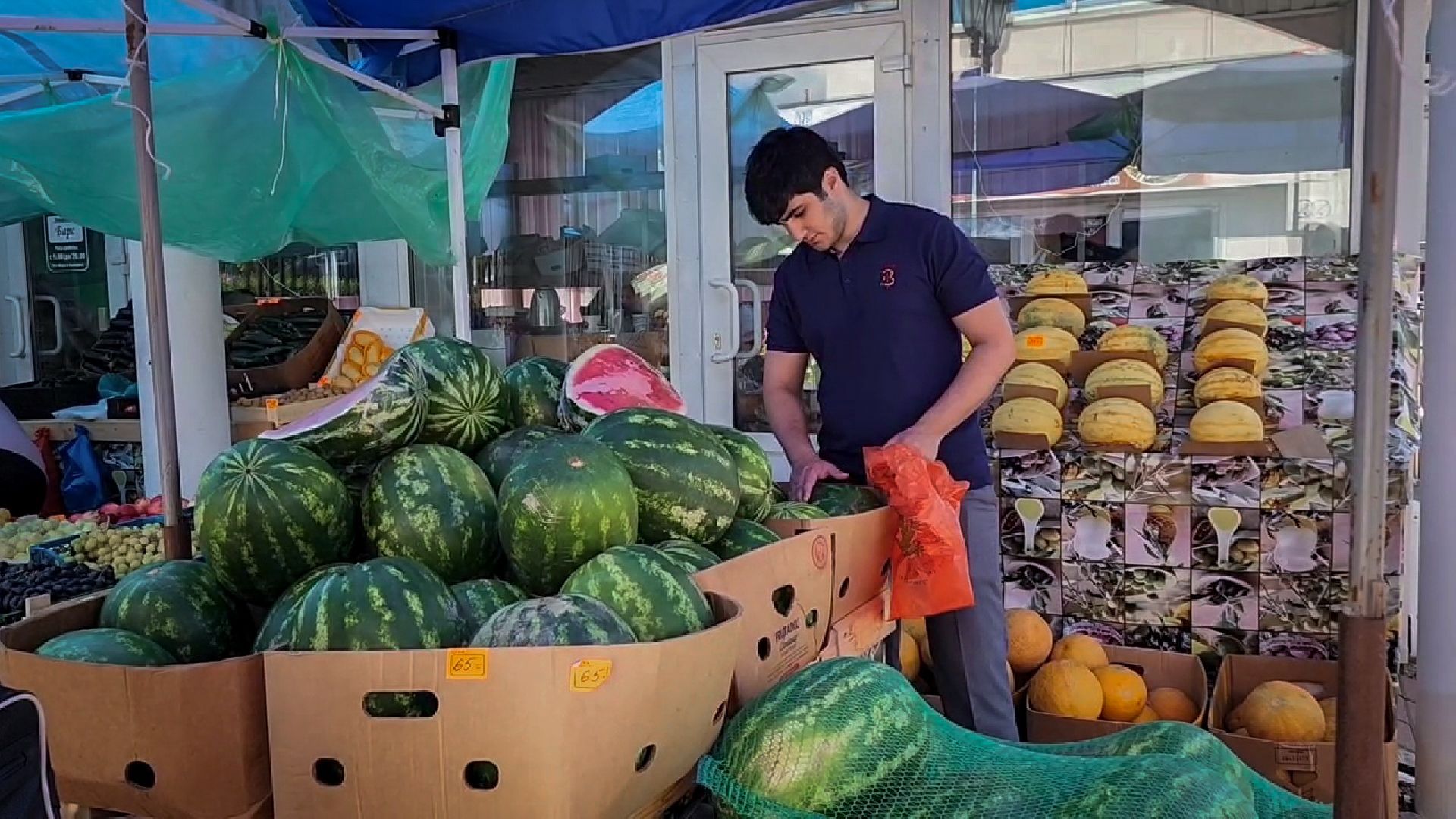 бронницы, Яяпродажа арбузов в бронницах, сезон бахчевых, сезон арбузов,сезон дынь,