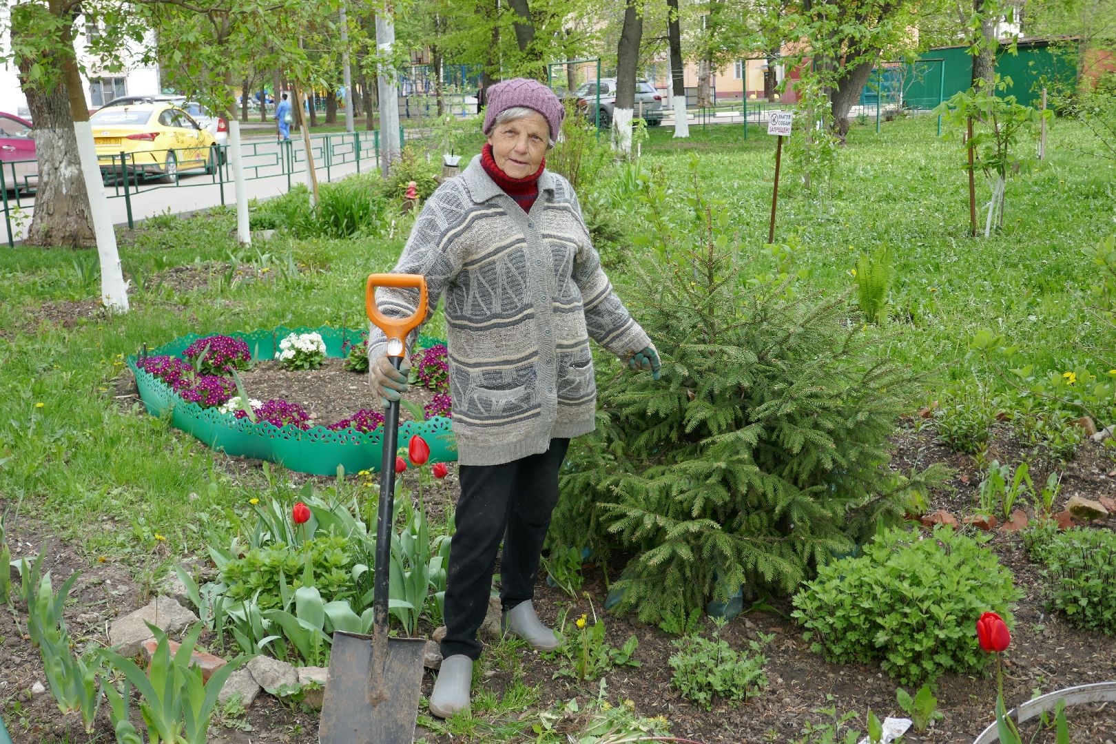 Подольск, лес Победы, деревья, управляющая компания, двор