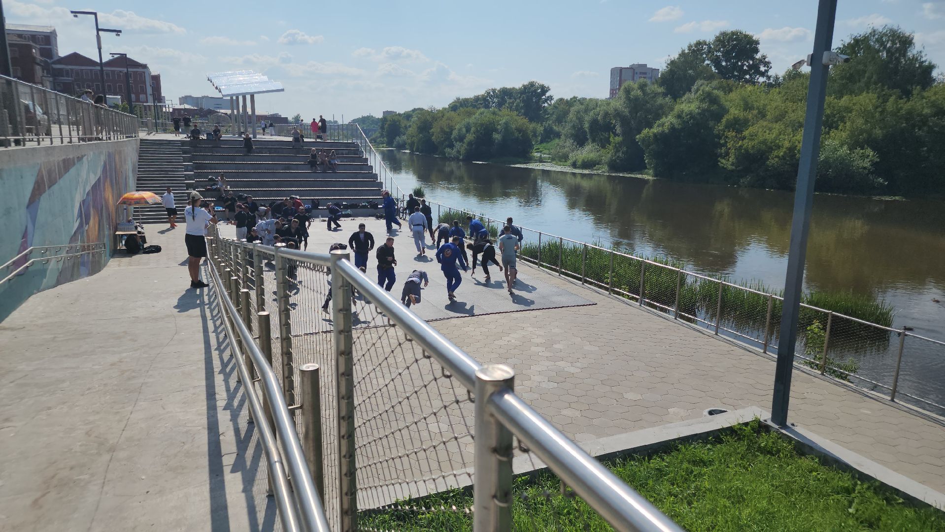 мастер-класс по джиу-джитсу , орехово-зуево,