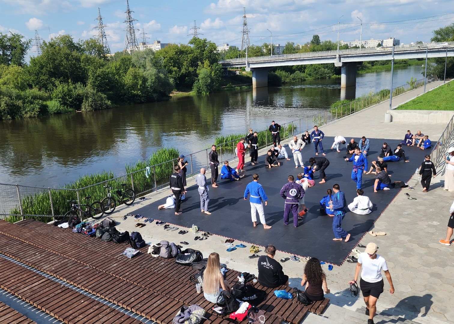 мастер-класс по джиу-джитсу , орехово-зуево,