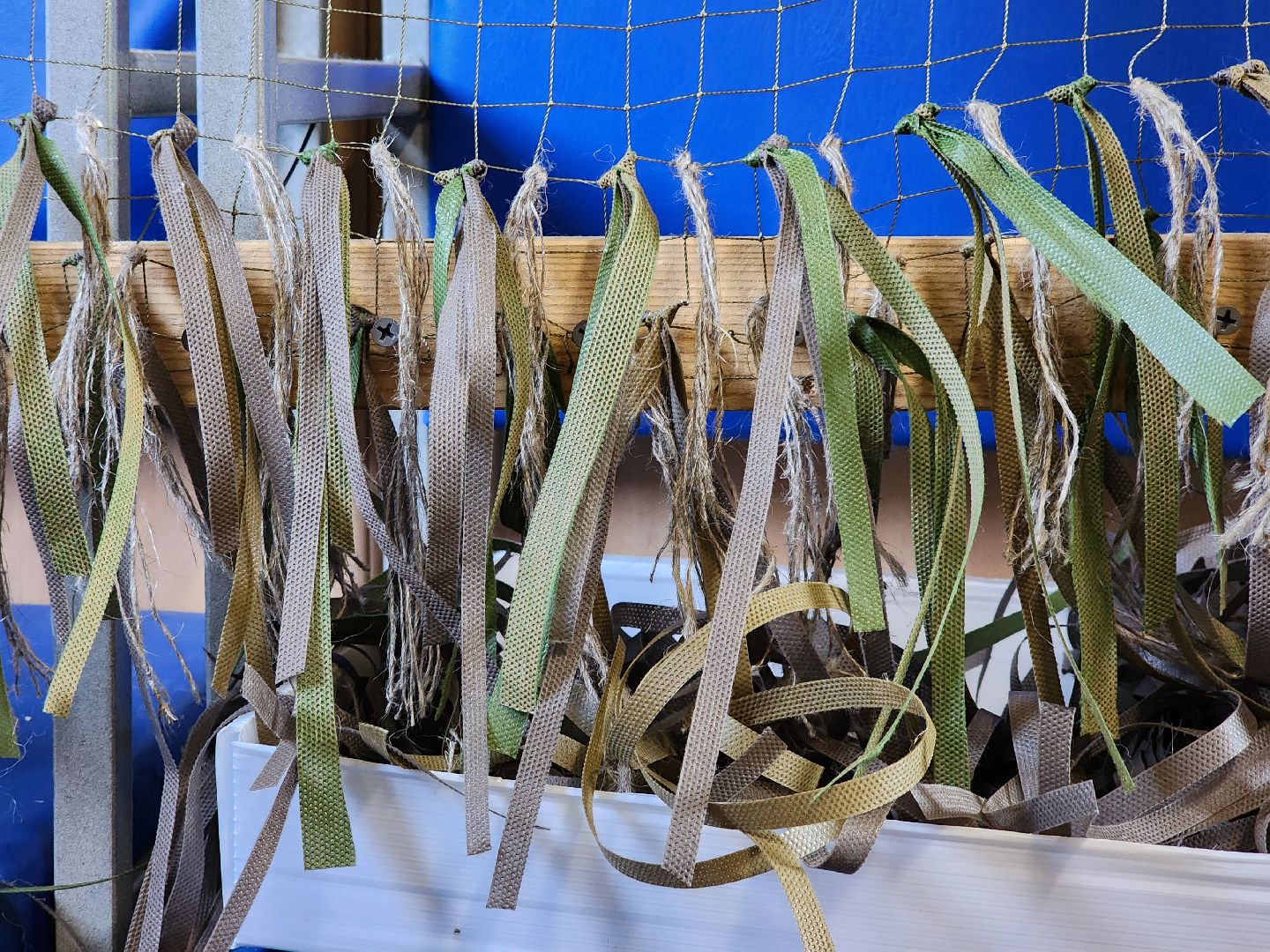 волонтеры, спецоперация, волонтеры сво, старая купавна, богородский городской округ,