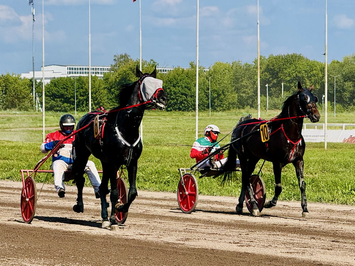 раменское, скачки, конный спорт, ипподром, раменский ипподром,лошади,