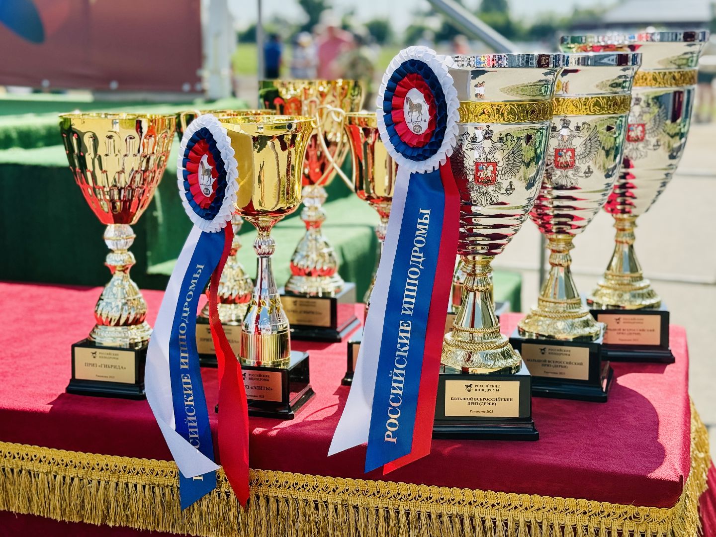 раменское, скачки, конный спорт, ипподром, раменский ипподром,лошади,