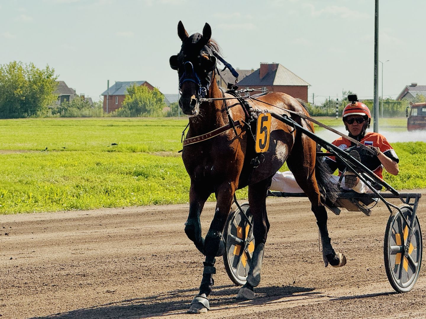 раменское, скачки, конный спорт, ипподром, раменский ипподром,лошади,