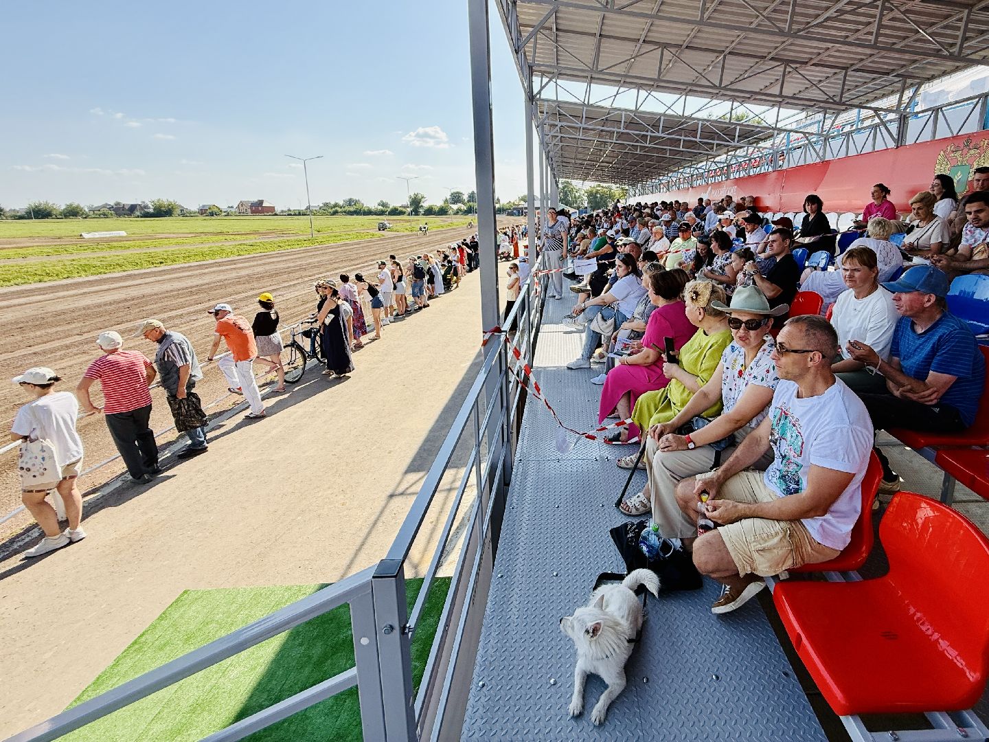 раменское, скачки, конный спорт, ипподром, раменский ипподром,лошади,