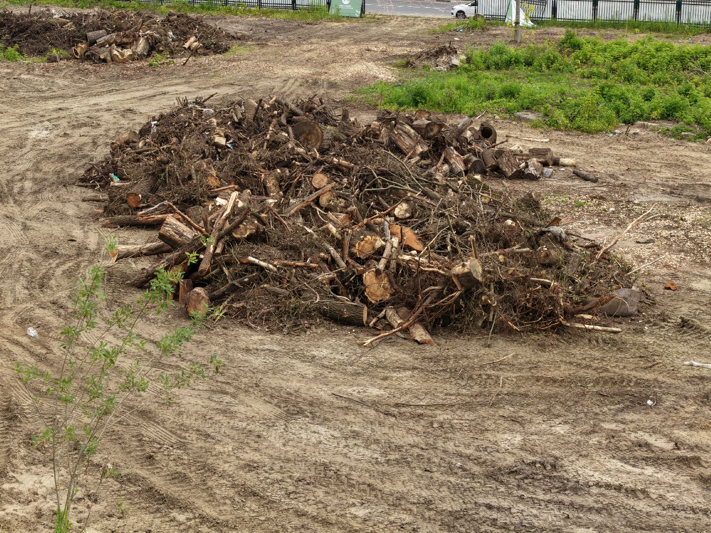видео с коптера, городской парк раменский,
