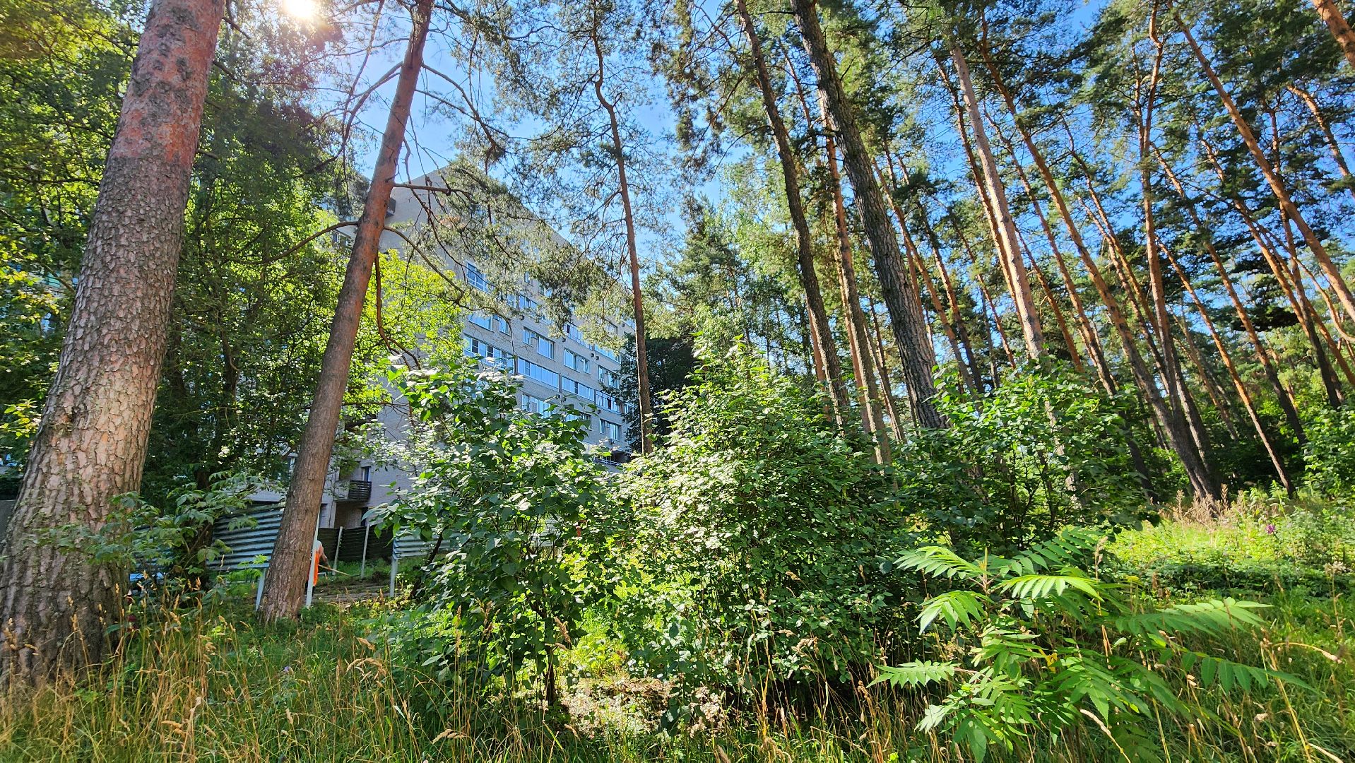 протвино, комбинат благоустройства, сезонные работы,