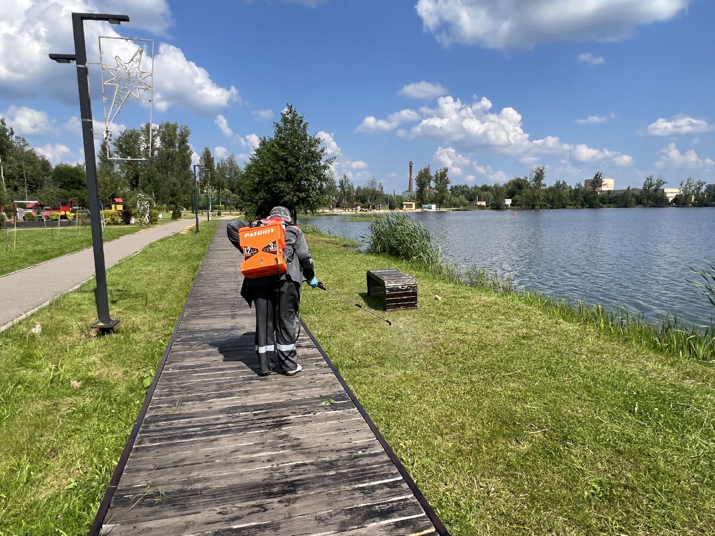 талдомский городской округ,  Запрудня, Клещи, обработка от клещей,