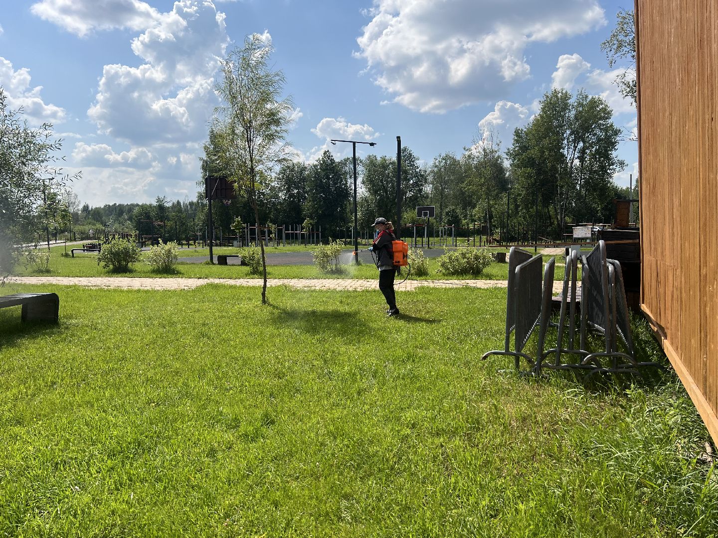 талдомский городской округ,  Запрудня, Клещи, обработка от клещей,