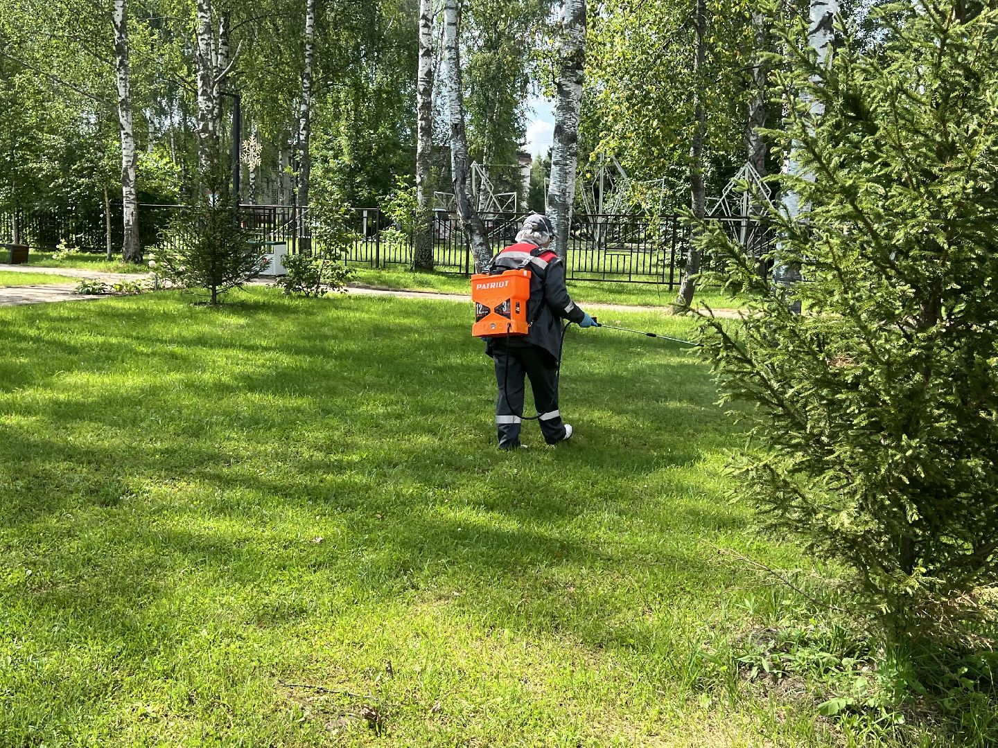 талдомский городской округ,  Запрудня, Клещи, обработка от клещей,