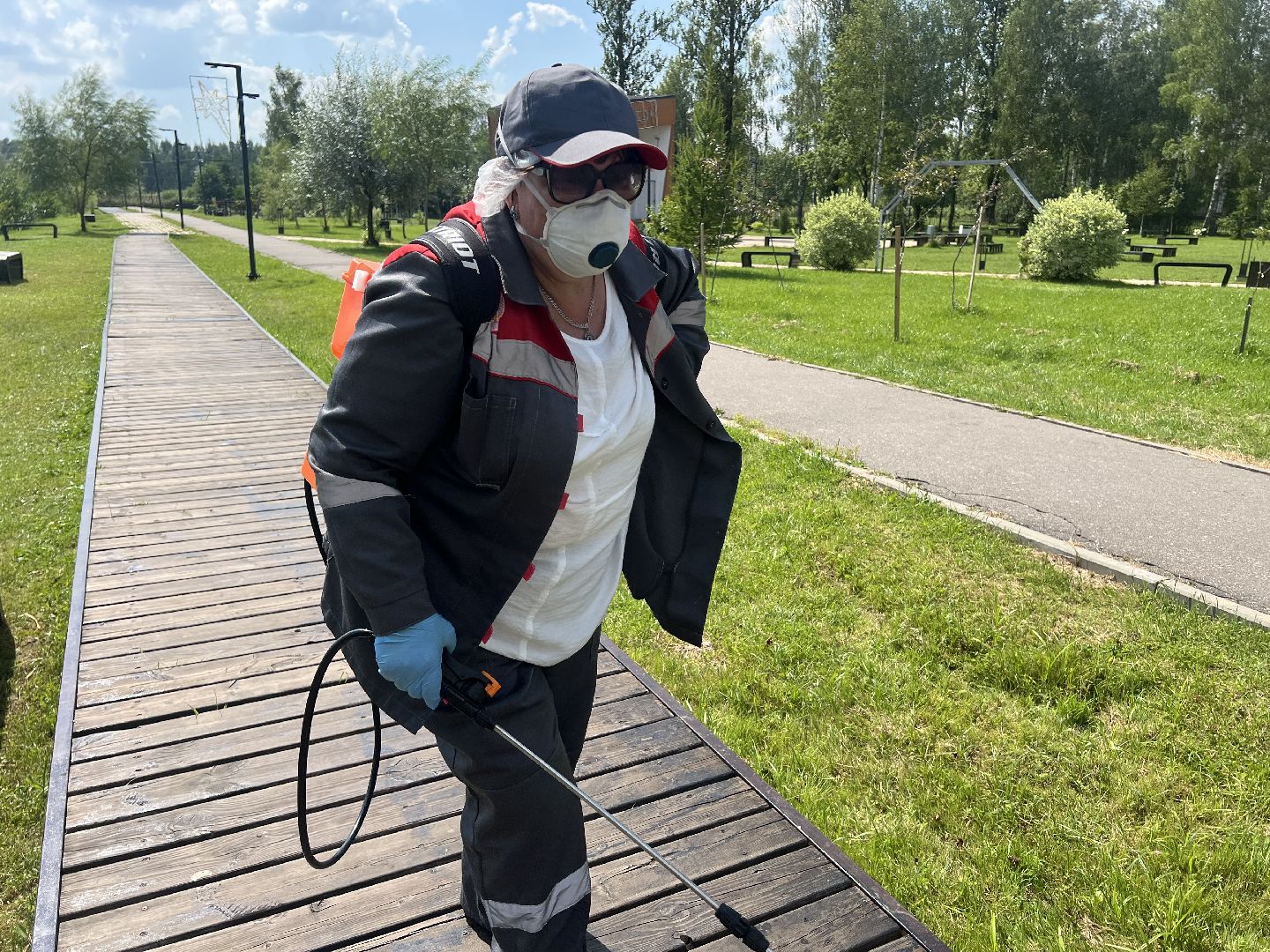 талдомский городской округ,  Запрудня, Клещи, обработка от клещей,