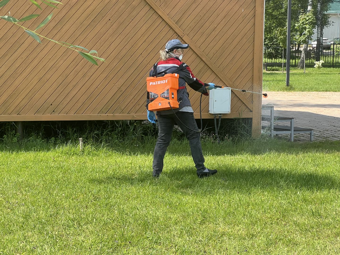 талдомский городской округ,  Запрудня, Клещи, обработка от клещей,